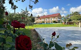 Aggelos Family Hotel